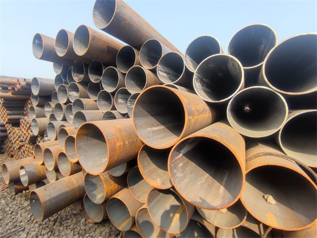 IMG_20230401_153125.jpg IMG_20230401_153125.jpg